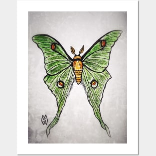 Luna moth Posters and Art